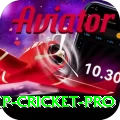 2022 world cup cricket Mobile Pro