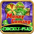 all cricket Casino Legend v5.4.1