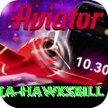 antigua hawksbill Elite Pro v4.2.0