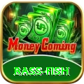 bass fish Plus Edition v5.6.5