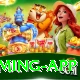 Bc.Game PK Max Gaming App