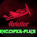 bingopkr Pro1 v5.4.5
