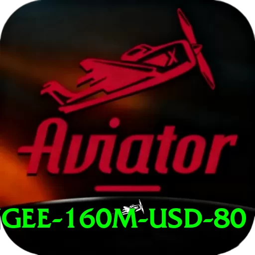 bungee 160m usd 80 Pro Edition v4.2.6 - 2
