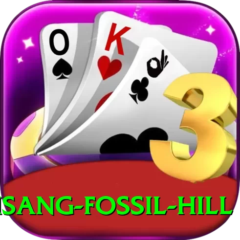 chhusang fossil hill Premium v4.0.0 - 2