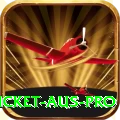 cricket aus - Slots Master