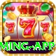 Cricket Betting Pakistan King Gaming App