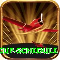 cricket world cup schedule Plus v1.1.0