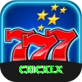 crickex Max vv3.3.9