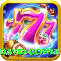 david gower Apps (Tools & Injectors) Pro v5.1.3