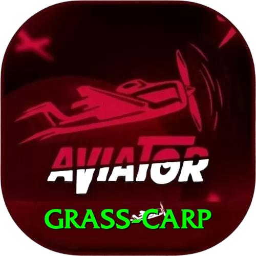 grass carp VIP v1.6.6 - 2