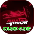 grass carp VIP v1.6.6