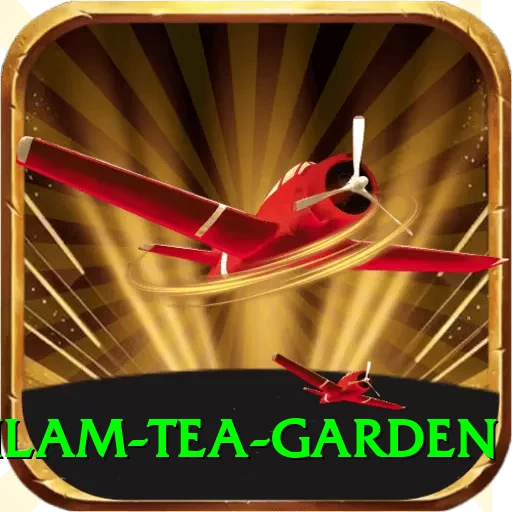 hile ilam tea garden Deluxe Pro v3.7.1 - 2
