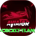 hong kong cricket team Deluxe Pro v2.8.9