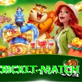 india cricket match