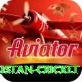 india pakistan cricket Premium Edition v5.0.6