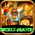 india pakistan cricket match Plus v2.8.9
