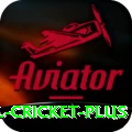 international cricket Jackpot Deluxe v2.9.0
