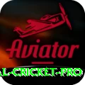 international cricket - Supreme v4.5.8