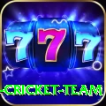 ireland cricket team VIP Edition v3.2.9