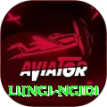 lungi ngidi Plus Pro v5.1.1