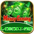 mobile cricket - Slots Legend