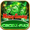 most runs in international cricket APK Turbo v3.3.7