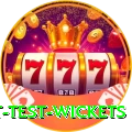 most test wickets Master Pro v1.8.6