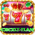 new zealand cricket team Pro1 v4.7.2