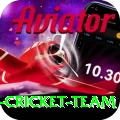 pakistan women cricket team Apps (Tools & Injectors) Ultimate v5.6.7