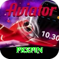 pkspin Premium vv2.4.8