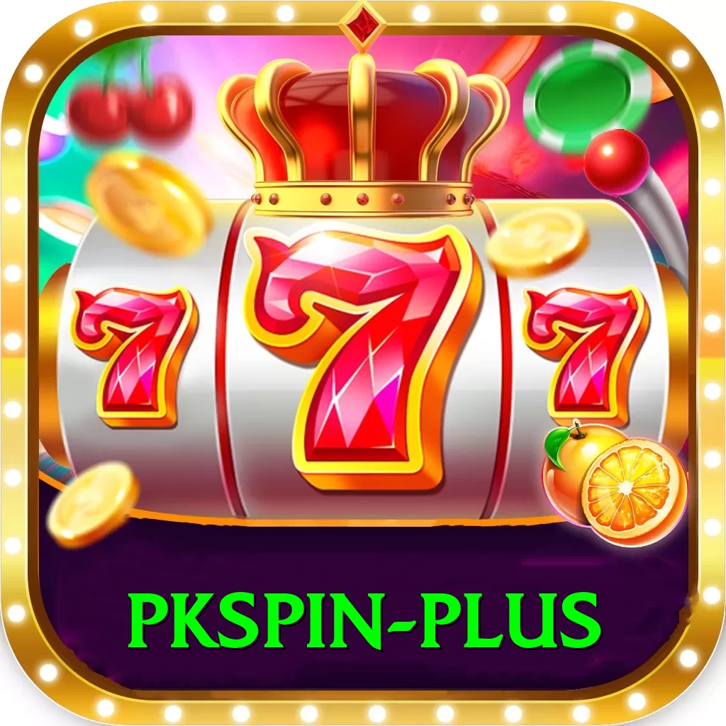 pkspin Premium Edition v3.6.6 - 2