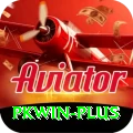 pkwin Max v3.7.2