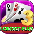play cricket King Casino App