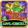 smartcric live cricket Games (Casino & Earning) Turbo v4.0.1