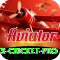 sports cricket - Slots Max