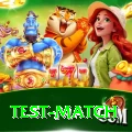 test match Pro v4.5.9