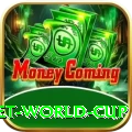 under 19 cricket world cup Max v1.1.4