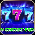 v cricket - Gaming Ultimate