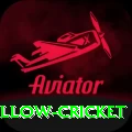 willow cricket Plus Edition v4.0.7