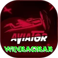winbaobab Plus Edition v5.3.0