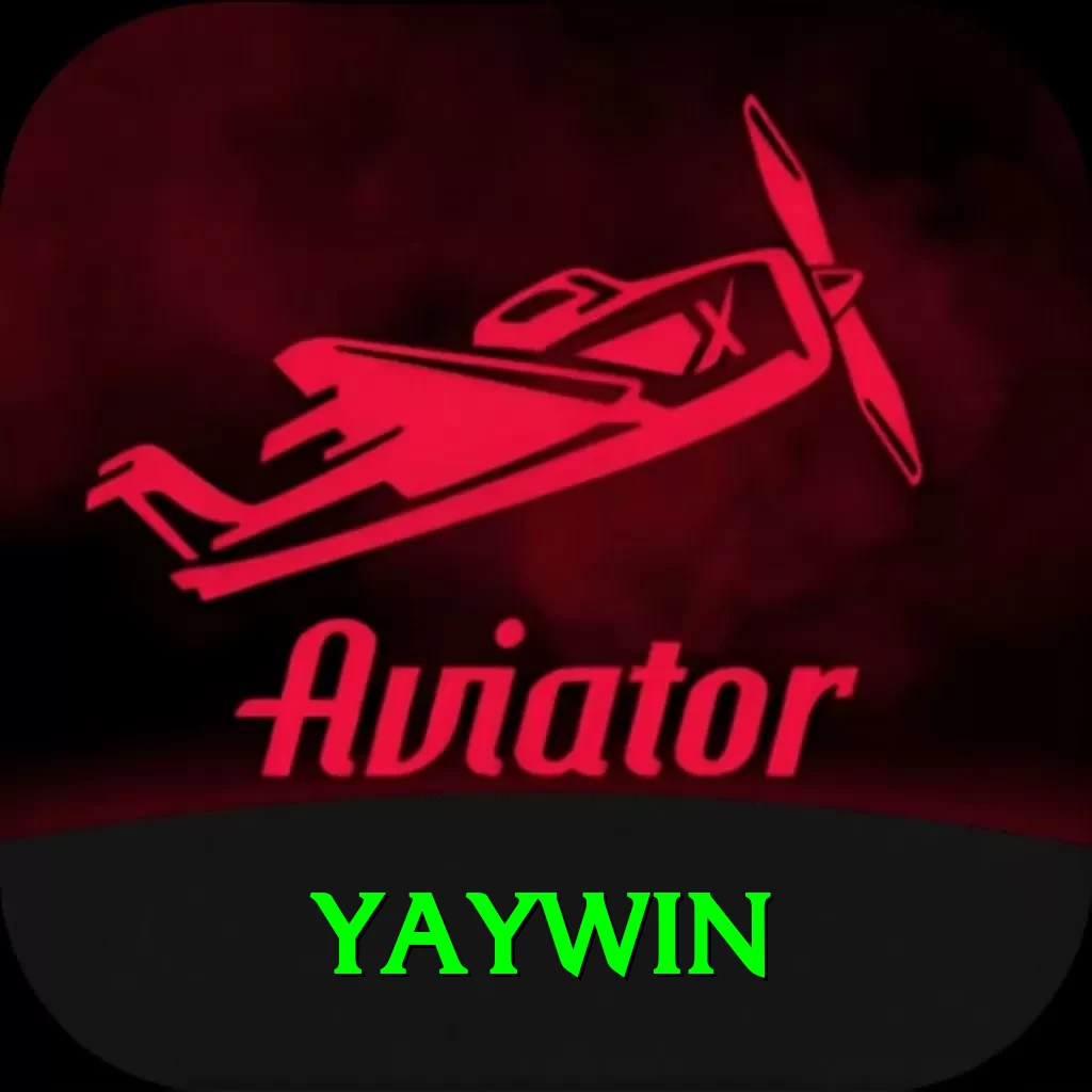 yaywin Pro Edition v4.6.9 - 2