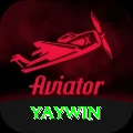 yaywin Pro Edition v4.6.9